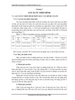 Giáo trình công nghệ cán và thiết kế lỗ hình trục cán - Sản xuất thép hình (phần 1) docx