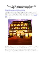 Phong thuỷ ứng dụng trong khách sạn, nhà hang & kinh doanh bất động sản potx