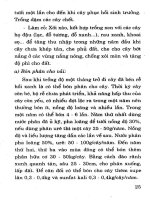 Kỹ Thuật Trồng Cây Ăn Quả Hiệu Quả Cao (Tập 1) - Nguyễn Đình Thiêm phần 4 pptx