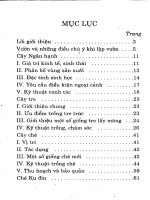 Kỹ Thuật Trồng Cây Đặc Sản Hiệu Quả Kinh Tế Cao - Nguyễn Đình Thiêm phần 10 ppsx