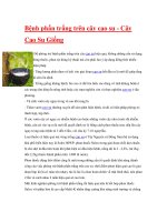 Bệnh phấn trắng trên cây cao su pps