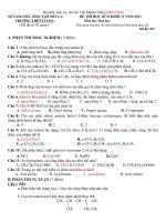 ĐỀ THI HỌC KÌ 2 MÔN HOÁ LỚP 11 docx
