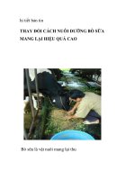THAY ĐỔI CÁCH NUÔI DƯỠNG BÒ SỮA MANG LẠI HIỆU QUẢ CAO ppsx