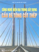 công nghệ hiện đại trong xây dựng cầu bê tông cốt thép phần 1 pdf