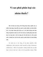 Vì sao phải phân loại các nhóm thuốc? ppt