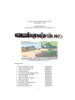 Chi phí đại diện của MNCs