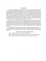 Báo cáo Thực tập tại công ty cổ phần LILAMA Hà Nội