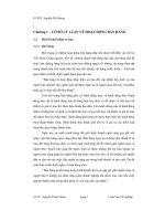 Thực trạng và một số giải pháp nâng cao hiệu quả hoạt động bán hàng tại công ty cổ phần Việt Bỉ