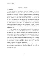 Khảo sát quy trình sản xuất enzyme cellulase từ nấm trichoderma reesei