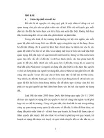 PHÁP LUẬT VIỆT NAM VỀ ĐIỀU CHỈNH QUAN HỆ THUÊ ĐẤT GIỮA NHÀ NƯỚC VÀ NGƯỜI SỬ DỤNG ĐẤT TỪ THỰC TIỄN ÁP DỤNG TẠI HÀ NỘI