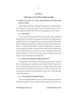 Tìm hiểu công nghệ NGSDH và tình hình triển khai NGSDH tại viễn thông quảng ngãi