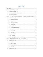 Báo cáo Thực tập tại công ty cổ phần cửa sổ nhựa châu Âu