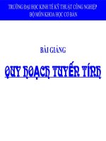 toan quy hoach tuyen tinh(chuong 1)