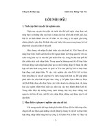 Thực trạng và giải pháp nhằm nâng cao hiệu quả ký kết và thực hiện hợp đồng nhập khẩu hàng hoá tại công ty cổ phần vật tư bảo vệ thực vật Hoà Bình
