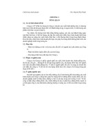 Chiến lược kinh doanh cho công ty cổ phần xuất nhập khẩu Sa Giang