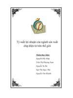 Tỷ suất lợi nhuận của ngành sản xuất chip điện tử trên thế giới