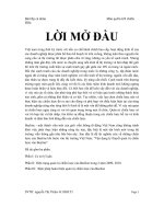 Vận dụng lý thuyết quản trị chiến lược vào Beeline