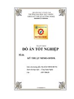 Đề tài kỹ thuật MINO-OFDM