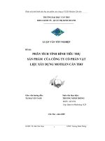 Phân tích tình hình tiêu thụ sản phẩm của công ty cổ phần vật liệu xây dựng motilen cần thơ