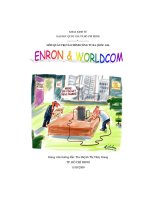 Quá trình hình thành, phát triển và nguyên nhân sụp đổ của Enron và Worldcom