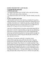 Phân tích các đối thủ cạnh tranh của sản phẩm sữa Friso