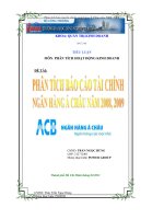 Phân tích báo cáo tài chính ngân hàng Á Châu năm 2008, 2009