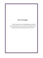 Báo cáo Thực trạng công tác thẩm định khả năng trả nợ của khách hàng vay vốn trung và dài hạn tại sở giao dịch ngân hàng ngoại thương Việt Nam
