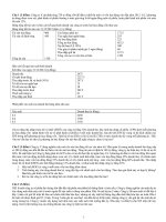 Tổng hợp đề thi tài chính