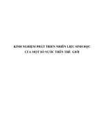 Kinh nghiệm phát triển nhiên liệu sinh học của một số nước trên thế giới