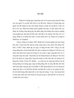 Phân tích chiến lược và đánh giá chiến lược kinh doanh của VMS MobiFone