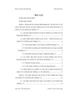 Tình hình tổ chức hạch toán kế toán tại công ty cổ phần hệ thống 1 V