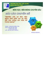 Nghiên cứu sự làm việc đồng thời giữa cọc và nền đất của móng cọc chịu tải trọng ngang