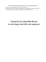 Tương lai cây trồng biến đổi gen từ cách mạng xanh đến cách mạng gen