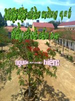 ĐA DẠNG đặc điểm CHUNG của ĐỘNG vật NGUYÊN SINH