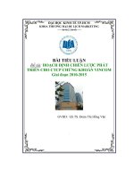 Hoạch định chiến lược phát triển cho công ty cổ phần chứng khoán VINCOM giai đoạn 2010 2015
