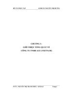 Một số giải pháp kiến nghị cải thiện tình hình tiền lương và các khoản trích theo lương tại công ty TNHH ACE Việt Nam