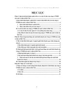 Thực tập tại công ty TNHH sản xuất và đầu tư Đất Việt