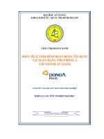 Phân tích tình hình hoạt động tín dụng tại ngân hàng thương mại cổ phần Đông Á chi nhánh An Giang