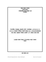 TUYỂN CHỌN, NUÔI cấy CHỦNG ASPERGILLUS ORYZAE SINH TỔNG hợp ENDO β 1,4 GLUCANASE và xác ĐỊNH TÍNH CHẤT lý hóa của nó