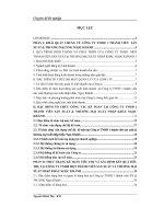 Kế toán tiêu thụ và xác định kết quả tiêu thụ hàng hoá tại Công ty TNHH một thành viên Sản xuất và thương mại xuất nhập khẩu Ngọc Khánh