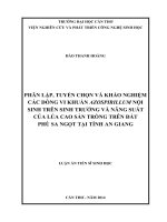 Phân lập, tuyển chọn và khảo nghiệm các dòng vi khuẩn Azospirillum nội sinh trên sinh trưởng và năng suất của lúa cao sản trồng trên đất phù sa ngọt tại tỉnh An Giang