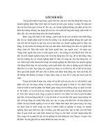 Hoàn thiện công tác kế toán nghiệp vụ tiêu thụ hàng hóa tại công ty chế biến và kinh doanh than Hà Nội