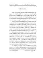 Hoàn thiện hoạt động định giá doanh nghiệp tại công ty TNHH kiểm toán và định giá Việt Nam VAE