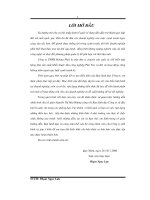 Phân tích hiệu quả sản xuất kinh doanh và một số biện pháp nâng cao hiệu quả sản xuất kinh doanh tại công ty TNHH Hoàng Phát