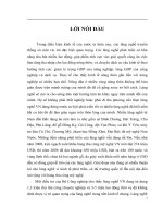 Một số giải pháp phát triển làng nghề, ngành nghề truyền thống nông thôn tỉnh hà tây