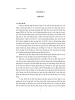 Khái quát về MLM, thực trạng MLM tại Việt Nam nói chung và thành phố Cần Thơ nói riêng