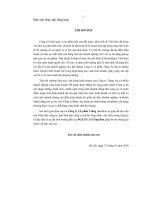 Phân tích, đánh giá kết quả hoạt động kinh doanh của công ty cổ phần Tràng An và một số đề xuất giải pháp