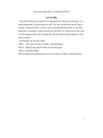 Thực tập tại công ty xi măng hệ dưỡng