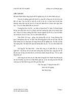 Định hướng chiến lược marketing cho khu đô thị Sunrise đông kiêu