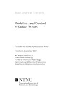 Modelling and Control of Snake Robots
